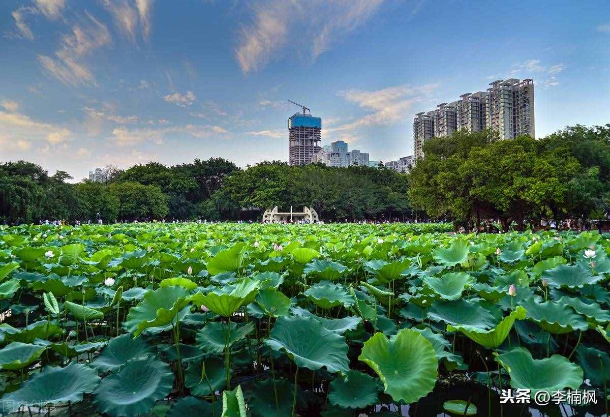 湖北的湖指的是什么湖（千湖之省的湖北）